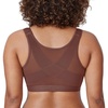 Brown Violet