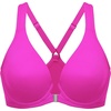 Rose Purple