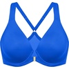 Sparkle Blue
